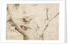 The Owls Nest, ca. 1505-1510 by Anonymous