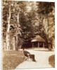 Giuseppe Verdi in the garden of SantAgata, by Anonymous