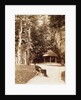 Giuseppe Verdi in the garden of SantAgata, by Anonymous