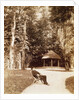 Giuseppe Verdi in the garden of SantAgata, by Anonymous