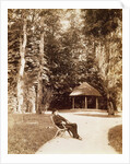 Giuseppe Verdi in the garden of SantAgata, by Anonymous