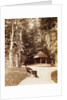 Giuseppe Verdi in the garden of SantAgata, by Anonymous