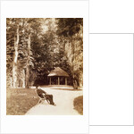 Giuseppe Verdi in the garden of SantAgata, by Anonymous