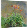 Daylilies (Les Hémérocalles), 1914-1917 by Anonymous