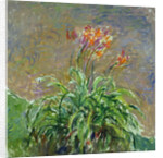 Daylilies (Les Hémérocalles), 1914-1917 by Anonymous