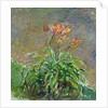 Daylilies (Les Hémérocalles), 1914-1917 by Anonymous