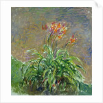 Daylilies (Les Hémérocalles), 1914-1917 by Anonymous
