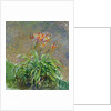 Daylilies (Les Hémérocalles), 1914-1917 by Anonymous