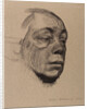 Self-Portrait, 1916 by Anonymous