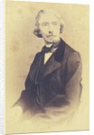 Portrait of Andrea Maffei, Second Half of the 19th cen by Anonymous