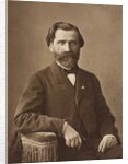 Portrait of Guiseppe Verdi, 1860s by Anonymous