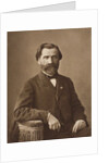 Portrait of Guiseppe Verdi, 1860s by Anonymous