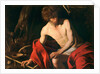 Saint John the Baptist in the Wilderness, ca 1604 by Anonymous