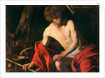 Saint John the Baptist in the Wilderness, ca 1604 by Anonymous