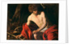 Saint John the Baptist in the Wilderness, ca 1604 by Anonymous