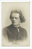 Portrait of the composer Anton Rubinstein, c. 1880 by Anonymous