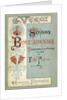 Cover to the first edition of the Libretto of opera Simon Boccanegra by Giuseppe Verdi, 1881 by Anonymous