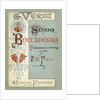 Cover to the first edition of the Libretto of opera Simon Boccanegra by Giuseppe Verdi, 1881 by Anonymous
