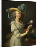 Portrait of Queen Marie Antoinette of France, after 1783 by Anonymous