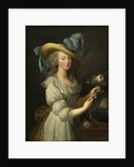 Portrait of Queen Marie Antoinette of France, after 1783 by Anonymous