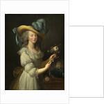Portrait of Queen Marie Antoinette of France, after 1783 by Anonymous