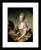 Portrait of Queen Marie Antoinette als Hebe, 1773 by Anonymous