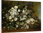 Branche de pommier en fleurs, 1872 by Anonymous