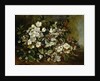 Branche de pommier en fleurs, 1872 by Anonymous