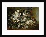 Branche de pommier en fleurs, 1872 by Anonymous