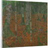 Birch Forest, 1903 by Anonymous