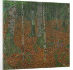 Birch Forest, 1903 by Anonymous