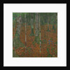 Birch Forest, 1903 by Anonymous