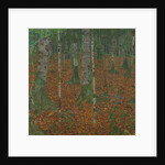 Birch Forest, 1903 by Anonymous