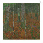 Birch Forest, 1903 by Anonymous