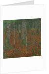 Birch Forest, 1903 by Anonymous