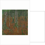 Birch Forest, 1903 by Anonymous