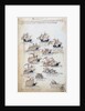 The fleet of Pedro Álvares Cabral in 1500 by Anonymous