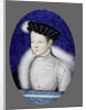 Portrait of future Francis II, King of France, ca 1553 by Anonymous