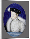 Portrait of future Francis II, King of France, ca 1553 by Anonymous