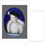 Portrait of future Francis II, King of France, ca 1553 by Anonymous