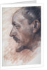 Self-Portrait by Anonymous