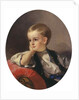 Portrait of Count Bobrinsky as child, 1882 by Anonymous