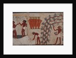 Harvesting grapes and Winemaking. The Tomb of Nakht, ca 1380 BC by Anonymous