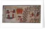 Harvesting grapes and Winemaking. The Tomb of Nakht, ca 1380 BC by Anonymous