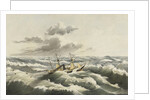 HMS Virago, 1859 by Anonymous