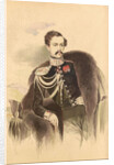 Portrait of Count Nikolay Vladimirovich Adlerberg by Anonymous