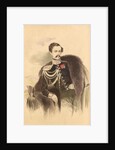 Portrait of Count Nikolay Vladimirovich Adlerberg by Anonymous