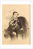 Portrait of Count Nikolay Vladimirovich Adlerberg by Anonymous