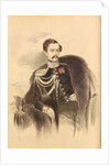 Portrait of Count Nikolay Vladimirovich Adlerberg by Anonymous