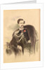 Portrait of Count Nikolay Vladimirovich Adlerberg by Anonymous